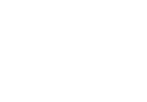 Sir Safety Perugia